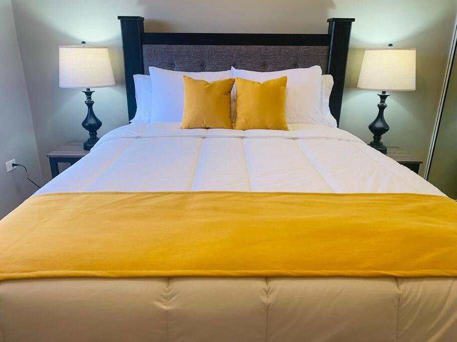 Odyssey On The 5Th - Exquisite Luxury Apt Kingston Bagian luar foto