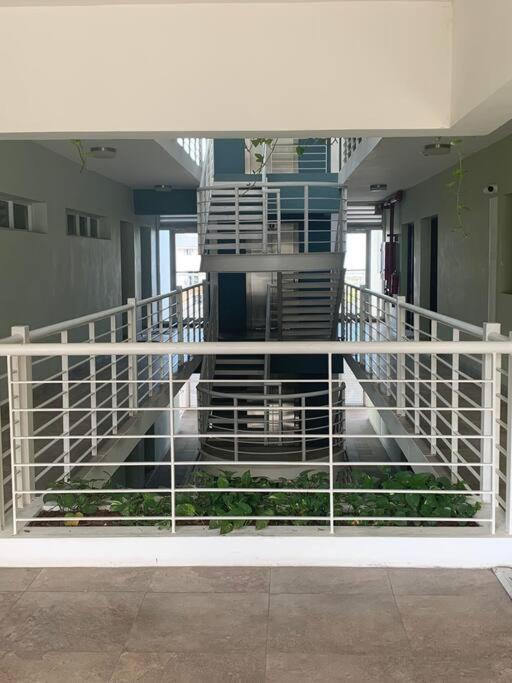 Odyssey On The 5Th - Exquisite Luxury Apt Kingston Bagian luar foto