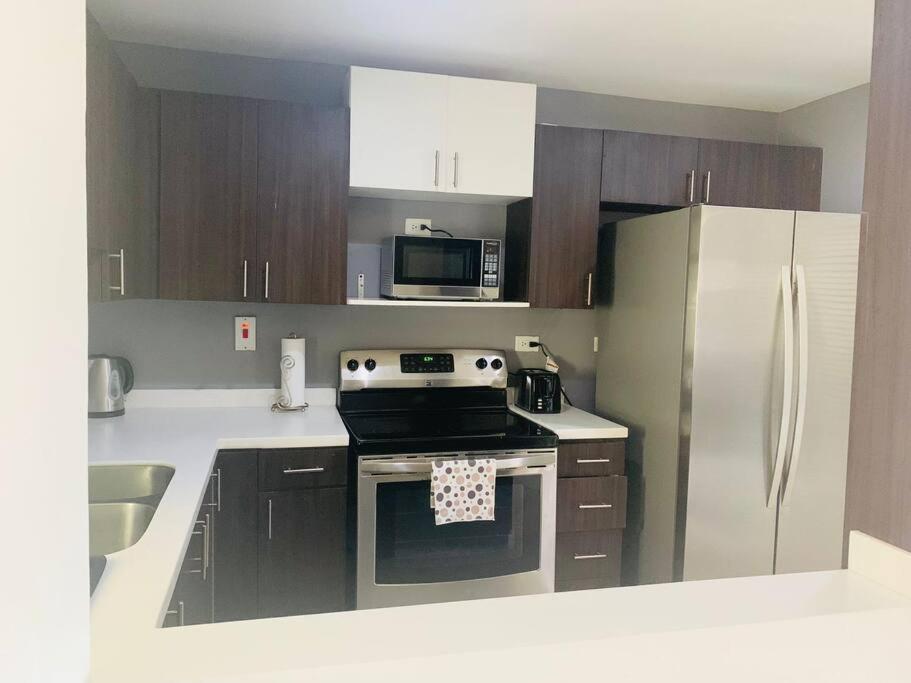 Odyssey On The 5Th - Exquisite Luxury Apt Kingston Bagian luar foto