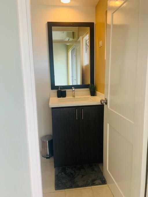 Odyssey On The 5Th - Exquisite Luxury Apt Kingston Bagian luar foto